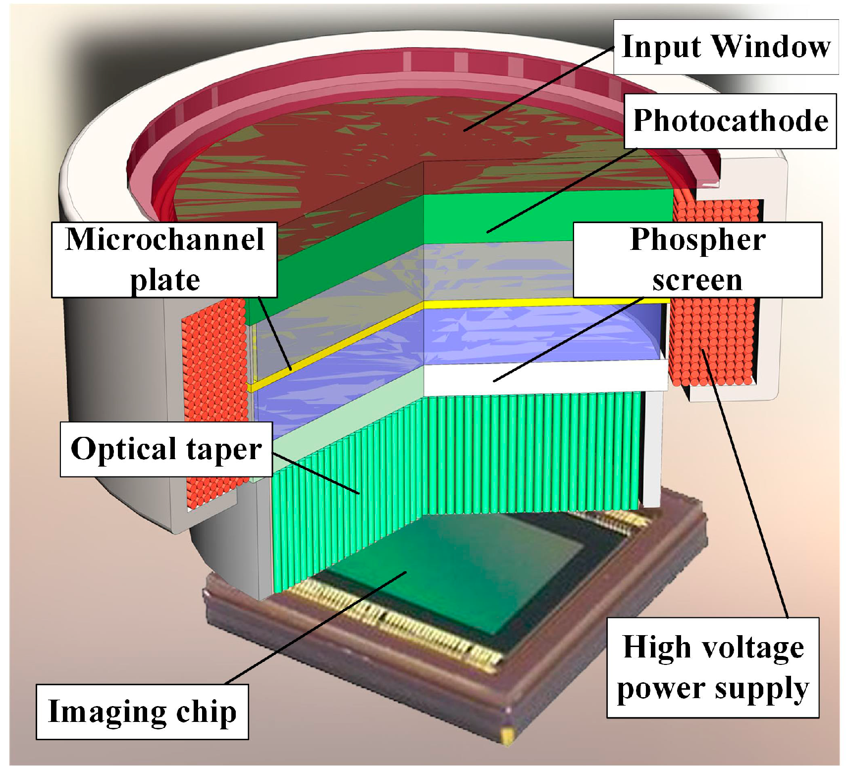 micro channel plate 2021
